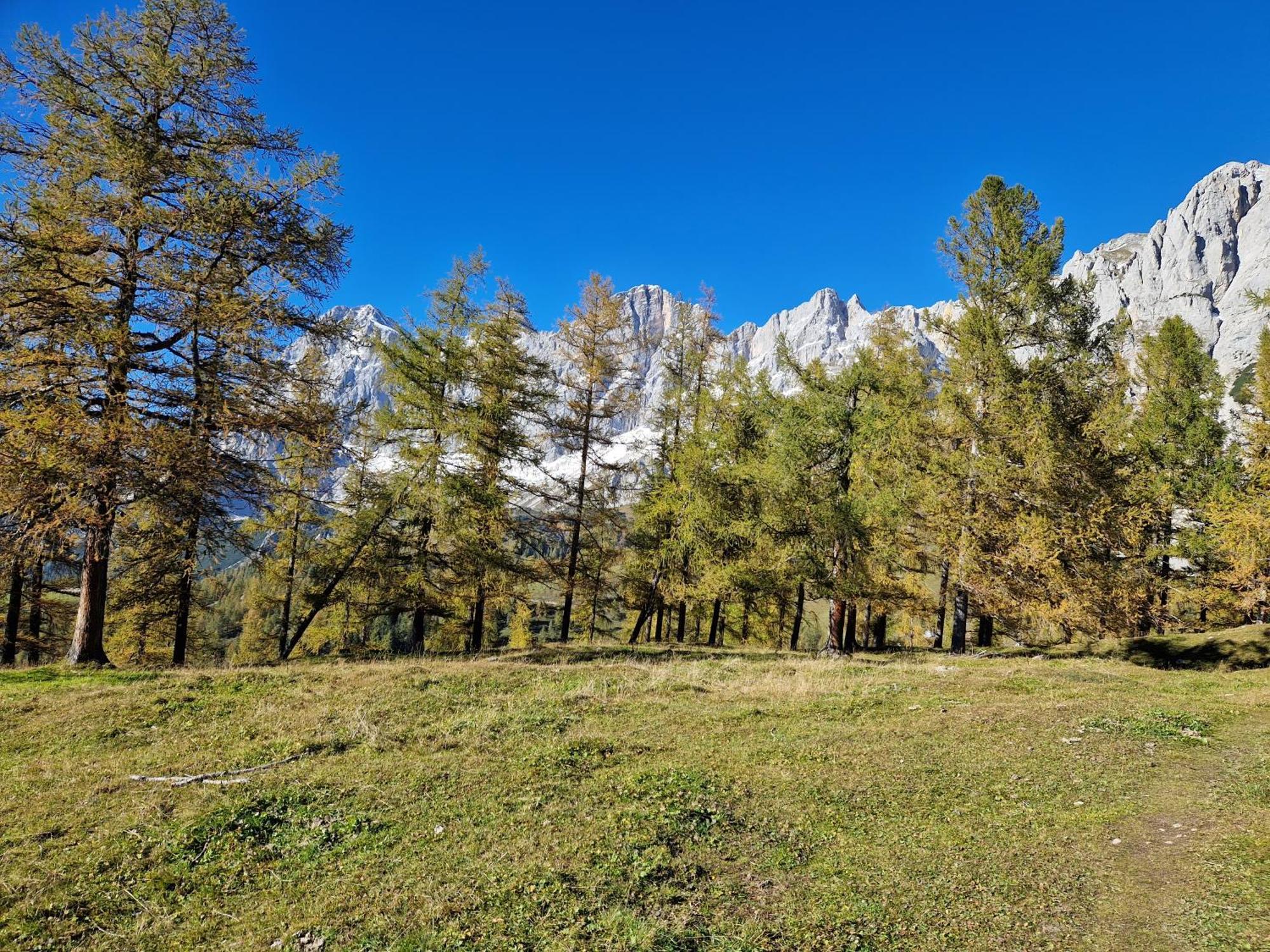 Romantisches Apartment mit Sommercard Ramsau am Dachstein Exterior foto