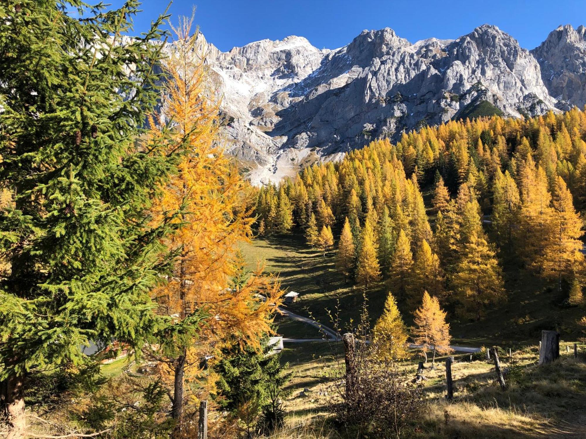 Romantisches Apartment mit Sommercard Ramsau am Dachstein Exterior foto